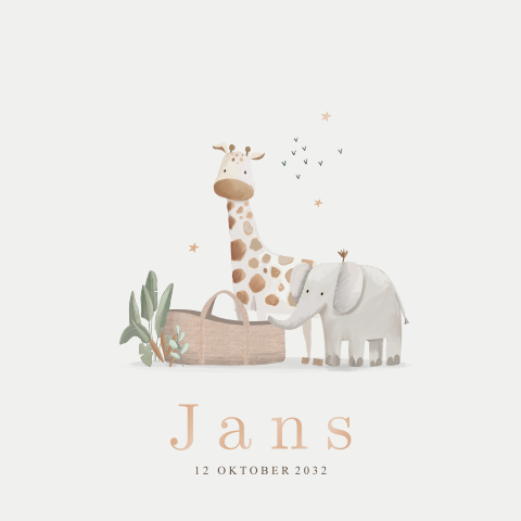 Geboortekaartje giraf en olifant met mandje.
