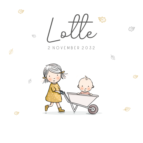 geboortekaartjes zusje baby kruiwagen twee zusjes wit