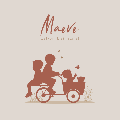 geboortekaartjes meisje bakfiets broertjes knuffel