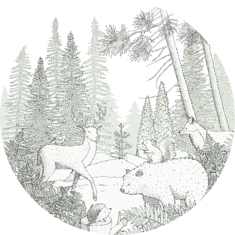 Behangcirkel bosdieren lijntekening