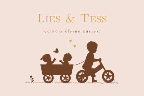 geboortekaartjes tweeling meisjes loopfiets broertje