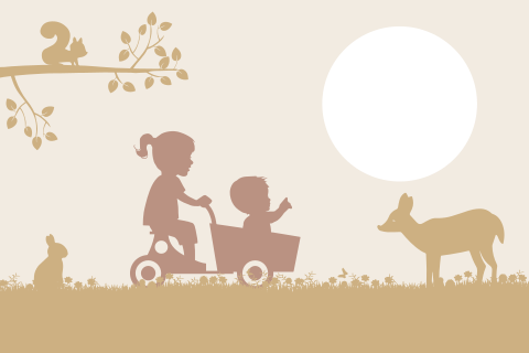 Geboortekaartje meisje stans zusje bakfiets geel