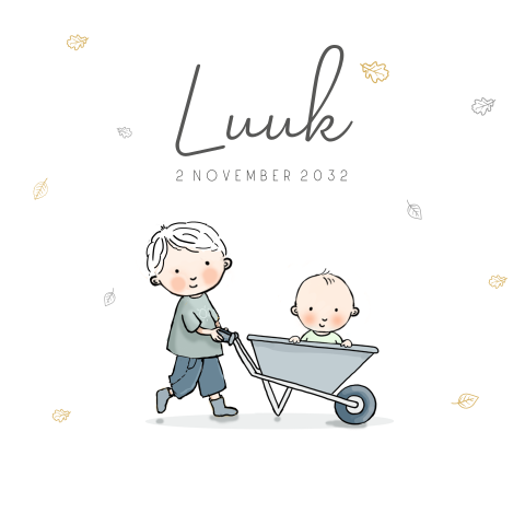geboortekaartjes broer baby kruiwagen broertje en baby jongen wit