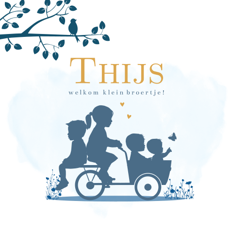 geboortekaartje jongen bakfiets broertjes zusje knuffeltje