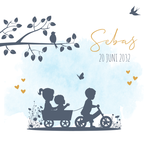 geboortekaartjes 3e broer zusje baby loopfiets baby jongen broer zusje