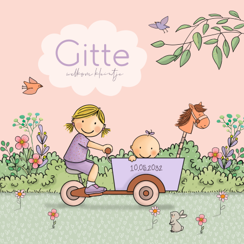 Geboortekaartje baby meisje met grote zus  in bakfietsje