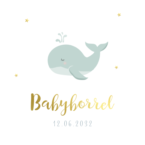 Kraamborrel walvis blauw