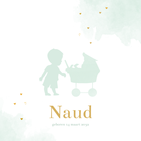 Geboortekaartje jongen kinderwagen broertje watercolor