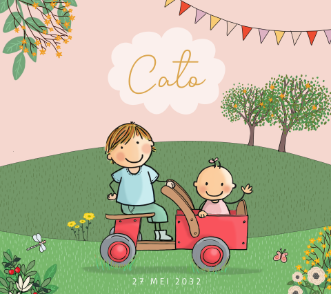 geboortekaartje broertje met baby meisje houtenbakfiets