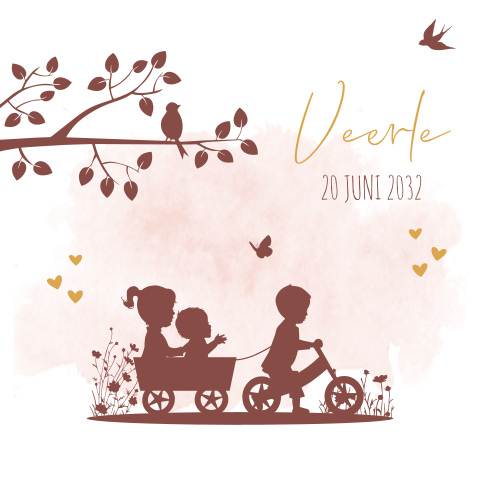 geboortekaartjes 3e broer zusje baby loopfiets baby meisje broer zusje