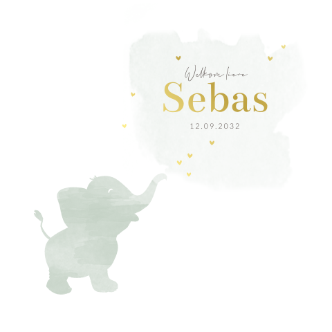 geboortekaartje olifant baby jongen watercolor