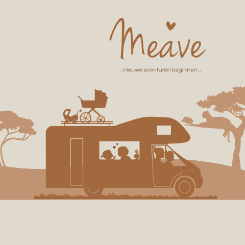 Geboortekaartje meisje en broertje camper alkoof met berglandschap