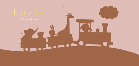 Geboortekaartje meisje treintje dieren