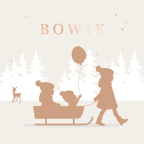 Geboortekaartje winter baby meisje in slee met zusjes