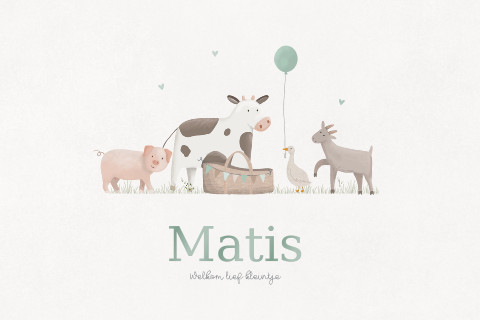 Geboortekaartje jongen boerderijdieren met mandje