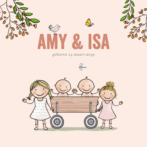 Geboortekaartje tweeling meisjes in bolderkar met zusjes