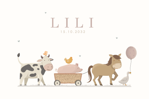 Poster 60 x 40 cm boerderijdieren op een rij