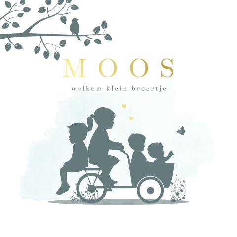 geboortekaartje jongen bakfiets zus broertjes knuffel