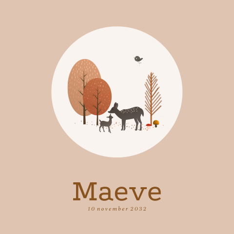 Geboortekaart meisje potloodtekening bosdieren