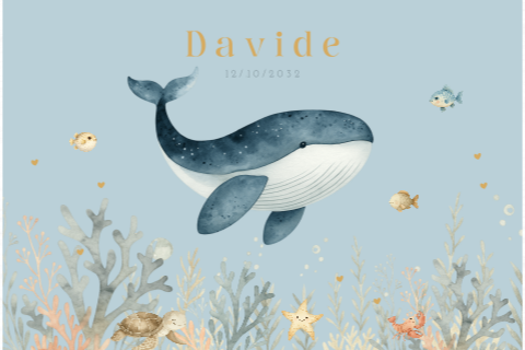 Memorybox walvis met visjes