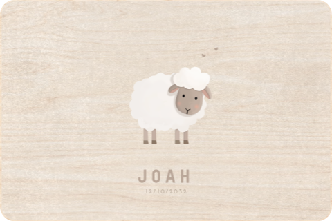 Memoriebox schaapje