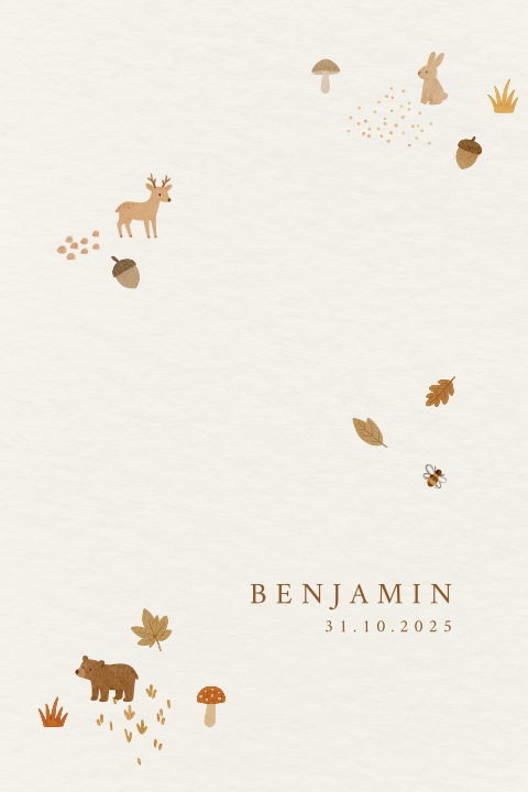 Minimalistisch geboortekaartje – Herfstdieren