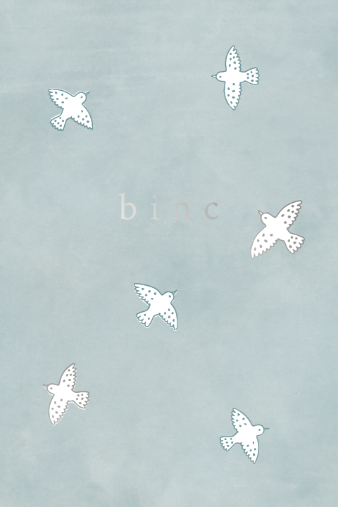 Blauw geboortekaartje met vogels en zilverfolie