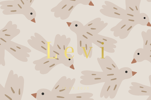 Beige geboortekaartje met vogels en goudfolie
