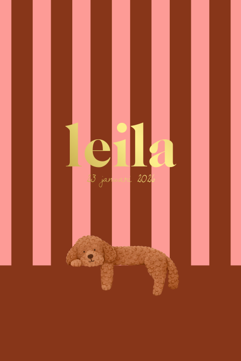 Roze en bruin gestreept geboortekaartje met hond