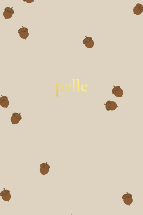 Beige herfst geboortekaartje met eikels en naam in goudfolie