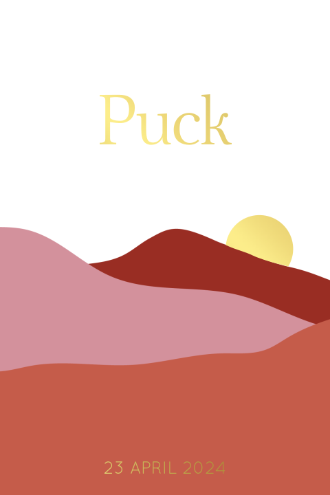 Geboortekaartje zonsopgang zonsondergang - roze