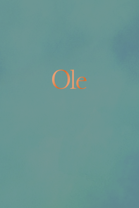 Basic Geboortekaartje - blauw met koperfolie