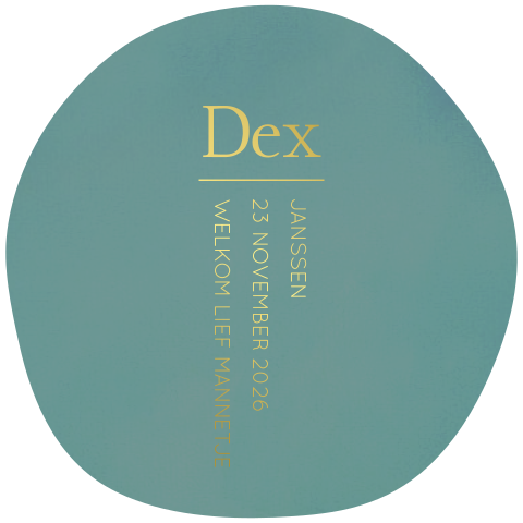 Geboortekaartje organische vorm blauw