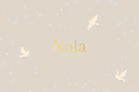 Beige geboortekaartje met sneeuw en vogels