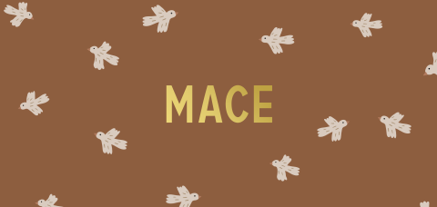 Donkerbruin liggend geboortekaartje met vogels