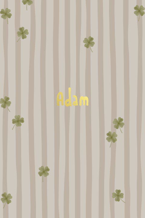 Geboortekaartje met strepen en klavertjes vier