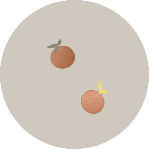 Sluitzegel met sinaasappels (per vel, 25 stickers op één vel)