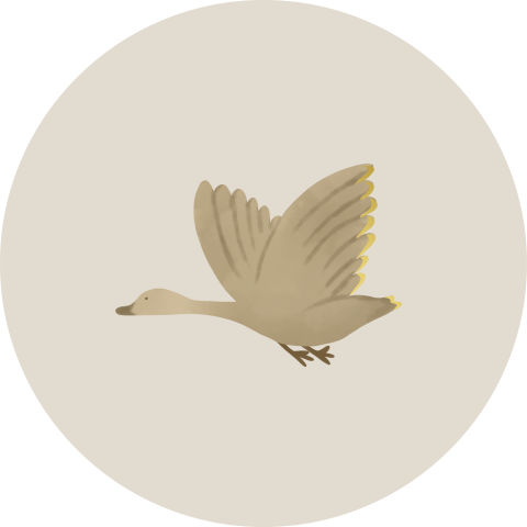 Sluitzegel met gans en goudfolie (per vel, 25 stickers op één vel)