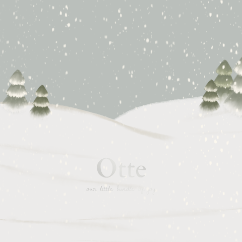 Winters geboortekaartje – Dennenbomen en sneeuw