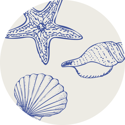 Sluitzegel met schelpen (per vel, 25 stickers op één vel)