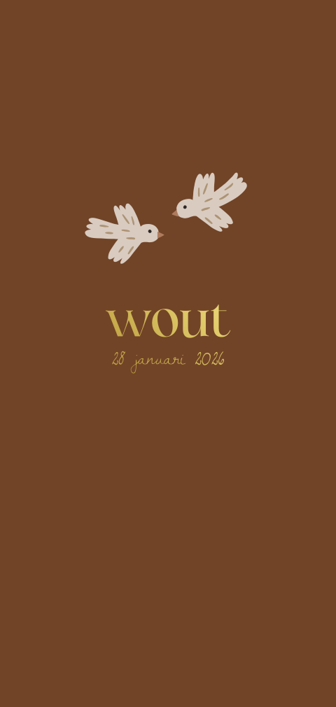 Langwerpig Bruin Geboortekaartje met Vogeltjes