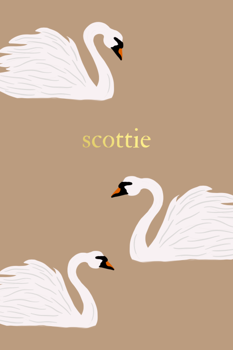 Geboortekaartje in Bruin met Zwanen