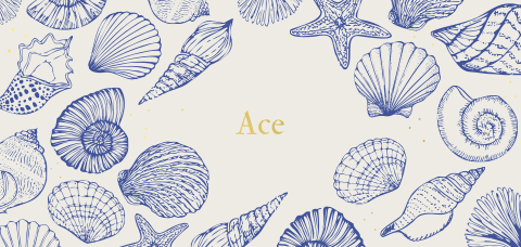 Geboortekaartje met schelpen en goudfolie