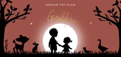 Geboortekaartje broer en zus voor ondergaande zon hert konijn gans