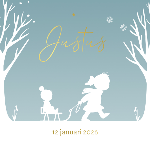 Geboortekaartje winter jongen op slee goudfolie