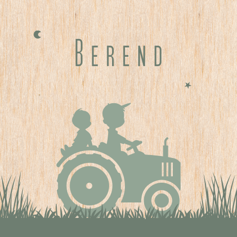 tractor-twee-jongens-hout