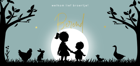 Geboortekaartje zusje broertje ondergaande zon