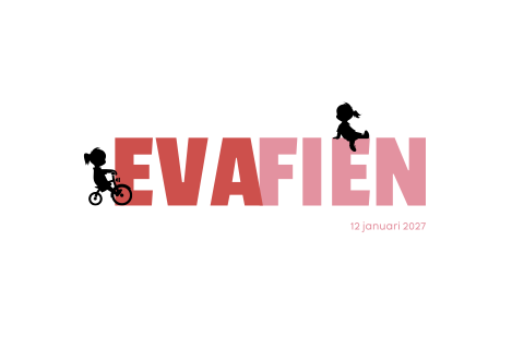 Geboortekaartje tweeling typografie