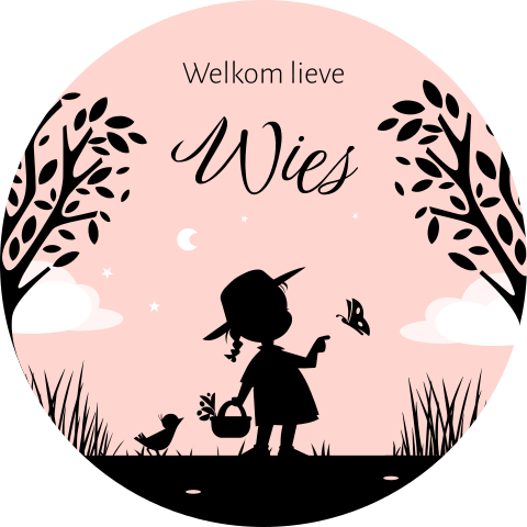 raamsticker silhouet meisje silhouet vlinder