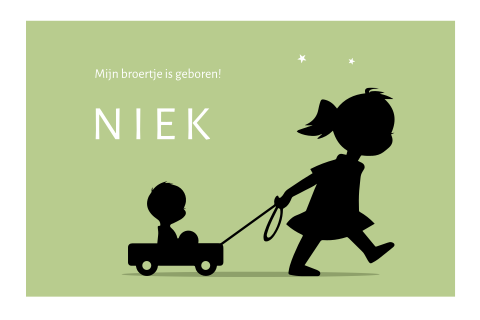 Geboortekaartje grote zus en broertje bolderkar